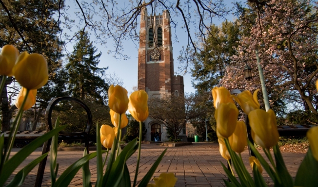 Tulips and Beaumont Tower.